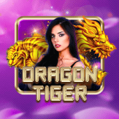 Dragon Tiger live casino on Gamezone Download App